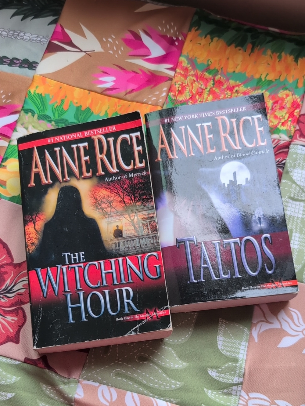 Anne Rice Book 📚 Bundle